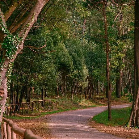 Foz Village By Rent4all Lejlighed